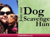 Dog Scavenger Hunt Thrill of the Hunt Bog Pic