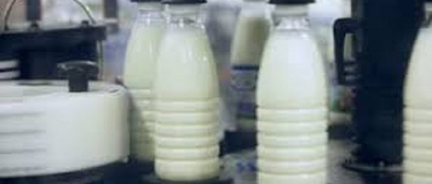 Milk Packaging market