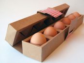 egg-packaging industry
