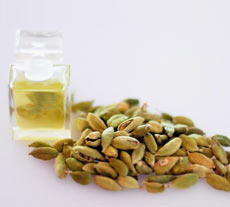Cardamom Oil Market