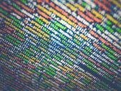 Data Masking Technology Market