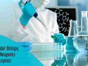 Molecular Biology Kits & Reagents and Enzymes Market