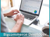 BIgcommerce Developer