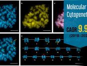 Molecular Cytogenetics Market