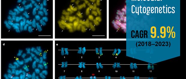 Molecular Cytogenetics Market