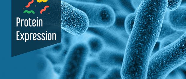 Protein Expression Market