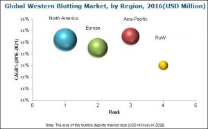 western-blotting-market