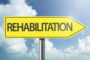 Behavioral Rehabilitation Industry