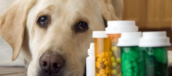 Pet Dietary Supplement Market