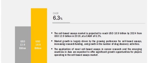 Cell based Assays Market