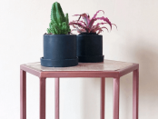 indoor planters online collection