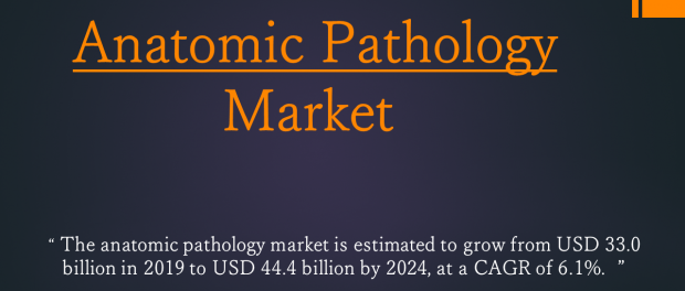 Anatomic Pathology Market