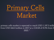 Primary Cells Market