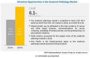 Anatomic Pathology Market 