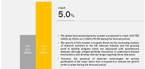 Immunoprecipitation Market