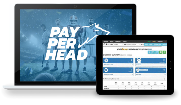 Despite No Sports, PayPerHead® Keeps Players In Action – Express Press  Release Distribution