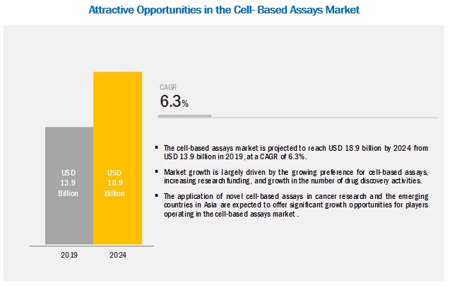 Cell-based Assay Market