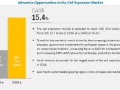 Cell Expansion Market