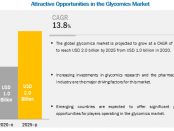 Glycomics / Glycobiology Market