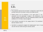 Peripheral Vascular Devices Market