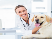 Companion Animal Diagnostics Market
