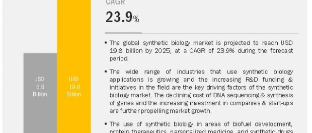 COVID-19 impact on the Bioinformatics Market