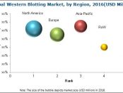 Western Blotting Market