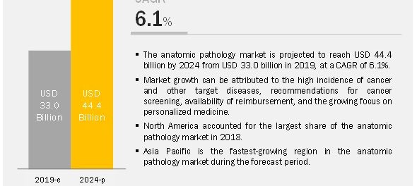 Anatomic Pathology Market