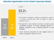 Protein Expression Market Growth Rate