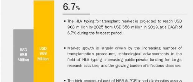 HLA Typing for Transplant Market