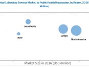 Analytical Laboratory Services Market