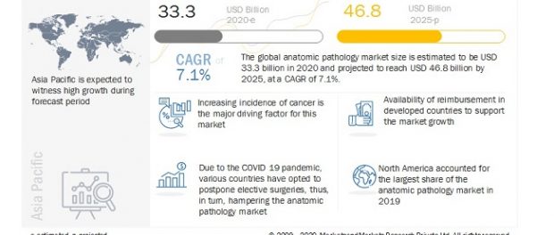 Anatomic Pathology Market