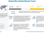 Mice Model Market