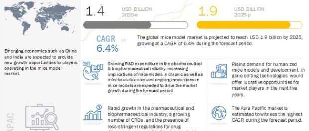 Mice Model Market