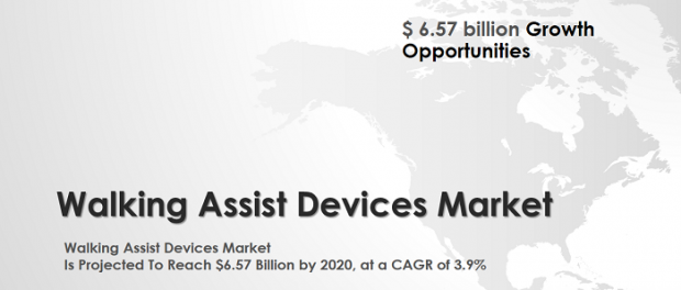 Walking Assist Devices Market