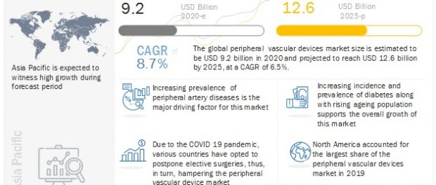 Peripheral Vascular Devices Market