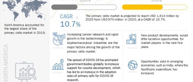 Primary Cells Market