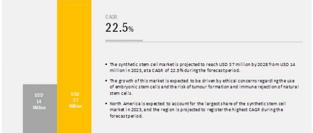 Synthetic Stem Cell Market