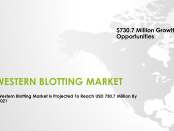 western blotting market