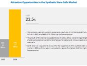 Synthetic Stem Cells Market