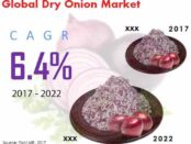 Global Dry Onion Market