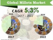 Global Millets Market