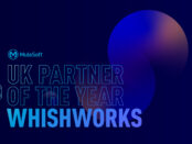 MuleSoft partner of the year
