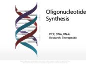 oligonucleotide synthesis market