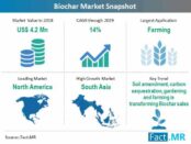 biochar-market-snapshot