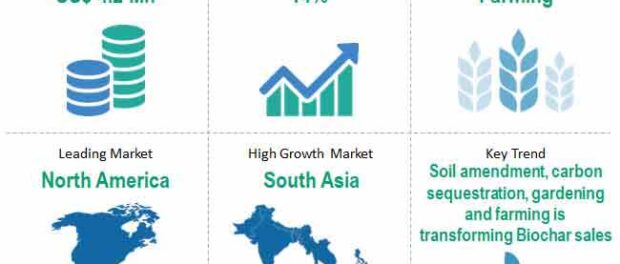 biochar-market-snapshot