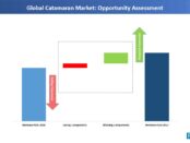 catanaran-market-opportunity-assessment