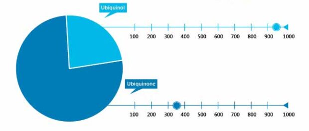 Global Coenzyme Q 10 Market: Key Market Players Intensity Map