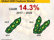 global-gmo-soybean-market
