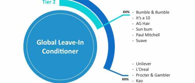 global-leave-in-conditioner-market-player-concentration-map
